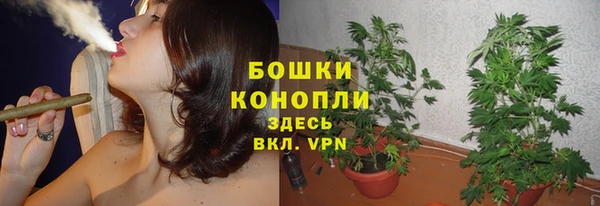 твердый Медногорск