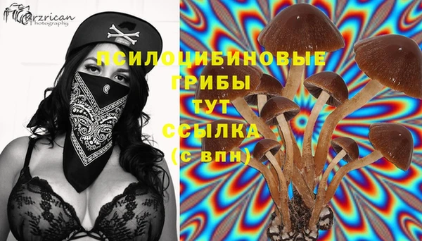 первитин Ачинск