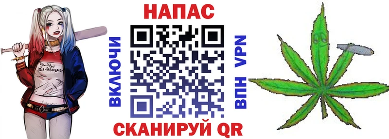 блэк спрут ТОР  Чайковский  Конопля план 